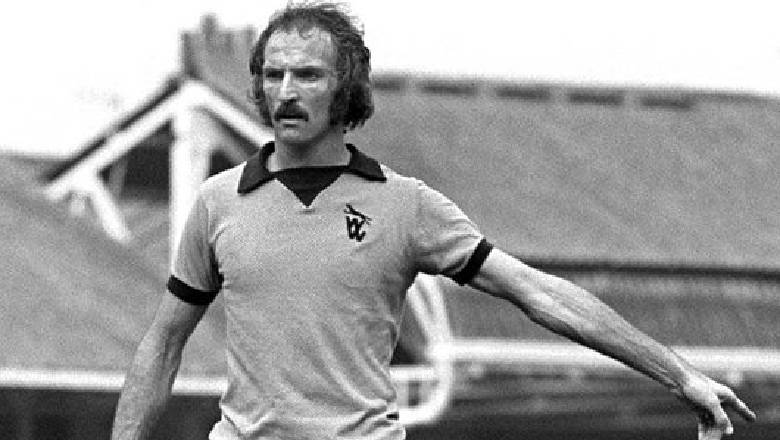 Wolves top scorers all time: Molineux's greatest legends - Ảnh 3